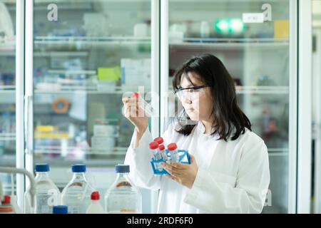 giovane scienziata donna che controlla una provetta di un rack Foto Stock