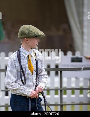 The Showground, Peterborough, Regno Unito – oltre ai Fox Hounds, il Festival of Hunting celebra Beagles, Harriers e Basset Hounds, rendendolo uno dei più grandi spettacoli di canili profumati al mondo Foto Stock