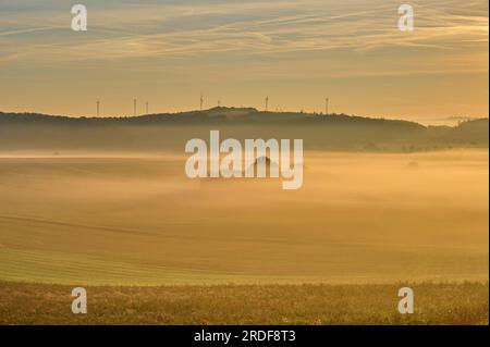 Paesaggio, campi, turbine eoliche, nebbia, alba, Hoehefeld, Wertheim, Baden-Wuerttemberg, Germania Foto Stock