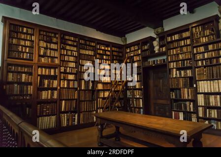 Vecchia biblioteca nel Museo Plantin-Moretus che incorpora la storia della stampa e mostra l'atmosfera di un'antica casa patrizia fiamminga Foto Stock