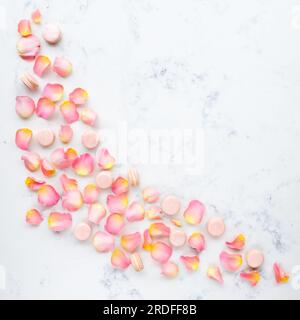 Macaron e tartarughe Foto Stock