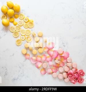 Macaron e tartarughe Foto Stock