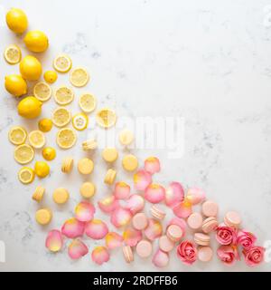 Macaron e tartarughe Foto Stock