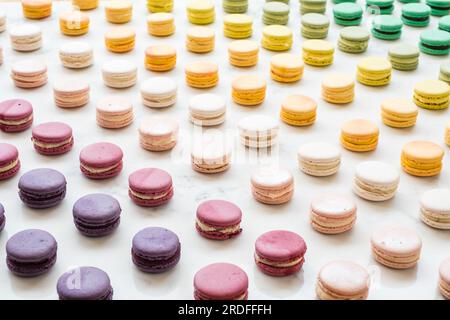 Macaron e tartarughe Foto Stock