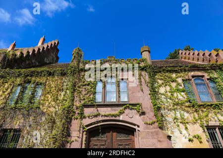 Castello di Dotternhausen, castello di cotta, castello di Dotternhausen, edificio storico, residenza aristocratica, architettura, dettaglio, finestra, troppo grande Foto Stock