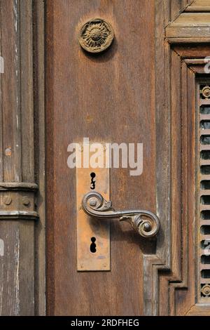 Castello di Dotternhausen, castello di cotta, castello di Dotternhausen, edificio storico, residenza aristocratica, architettura, dettaglio, porta in legno decorata Foto Stock