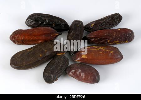 Fagioli di Tonka, tonka (Dipteryx odorata), Tonka Bean Foto Stock