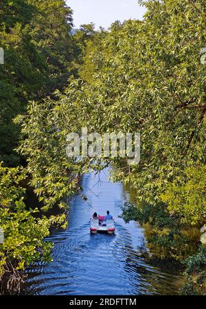 Coppia in pedalò sul fiume Lahn, Marburgo, Assia, Germania Foto Stock