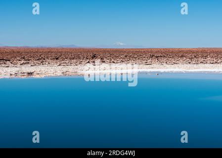 Vista da una delle sette lagune nascoste di Baltinache nel deserto di Atacama Foto Stock