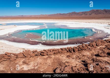 Paesaggio in una delle sette lagune nascoste di Baltinache nel deserto di Atacama Foto Stock