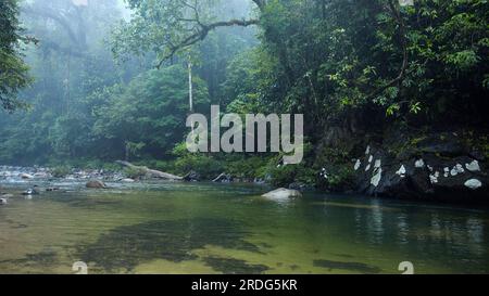 splendido lago kenyir situato a hulu terengganu, malesia Foto Stock