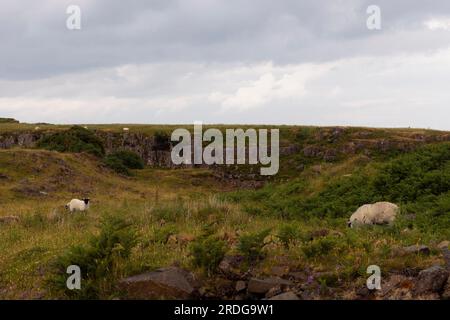 Tour attraverso l'Isola di Skye, Scozia, Regno Unito Foto Stock