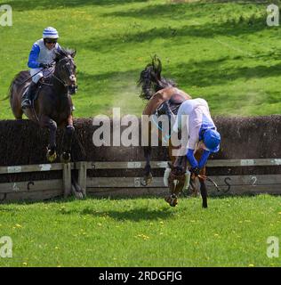 Godstone Point to Point gara di cavalli SteepleChase Surrey Foto Stock