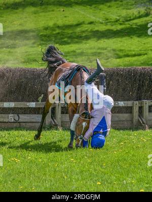 Godstone Point to Point gara di cavalli SteepleChase Surrey Foto Stock