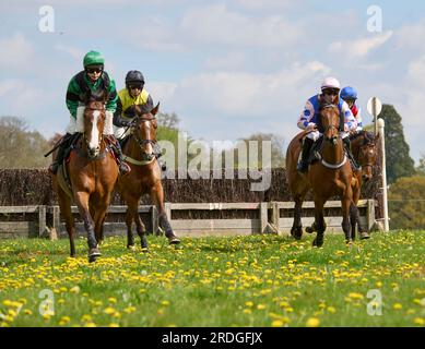 Godstone Point to Point gara di cavalli SteepleChase Surrey Foto Stock