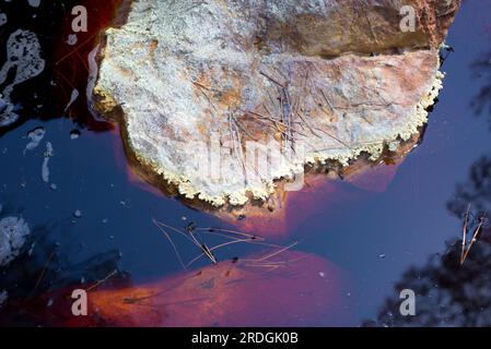 Acque acide di Rio Tinto dalle miniere di Riotinto. Queste acque tossiche contengono metalli pesanti e batteri estremofili (Acidithiobacillus ferroossidans e L Foto Stock