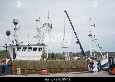 Pescatori che scaricano un pescato di capesante da una draga di capesante nel porto di Kirkcudbright, in Scozia. Per il sollevamento di carichi pesanti viene utilizzata una gru. Foto Stock