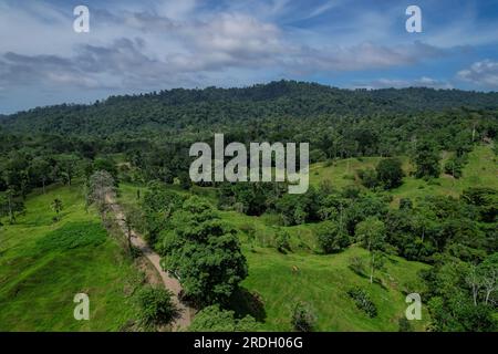 Splendida vista aerea della foresta pluviale del Costa Rica nella regione di Talamanca Foto Stock