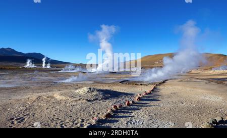 Campo geyser di El Tatio in Cile Foto Stock