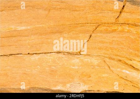 Disegni, legno di grano, e crepe in un colpo macro di un pezzo di legno pietrificato. Foto Stock