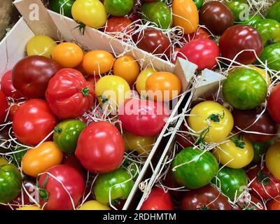 Pomodori coltivati biologici freschi, di diversi colori e sapori, posti in scatole di legno in vendita al mercato agricolo. Foto Stock