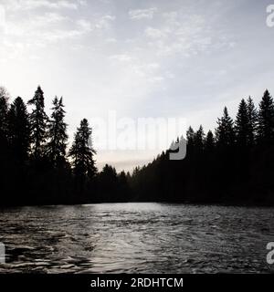 Mattina di primavera, fiume Tualatin, Oregon, Stati Uniti. Foto Stock