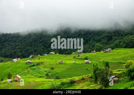 Vedute aeree di una piccola casa e del campo di risaie a terrazze presso le terrazze di riso del villaggio di pabongpaing Mae-Jam Chiang mai, Thailandia. Il punto di vista del viaggio. Riso Foto Stock