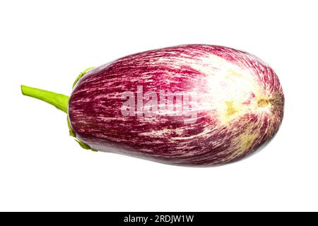 Graffiti di melanzane isolati su fondo bianco ritaglio. Melanzana. Cibo sano. Il file contiene il percorso di ritaglio. Foto Stock