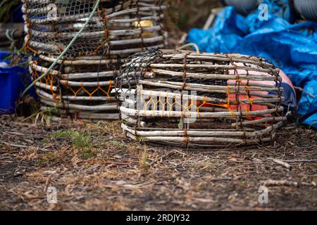 crayfish cray pots sul retro di un peschereccio in tasmania australia Foto Stock