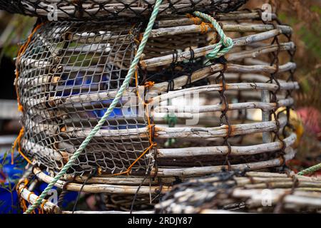 crayfish cray pots sul retro di un peschereccio in tasmania australia Foto Stock