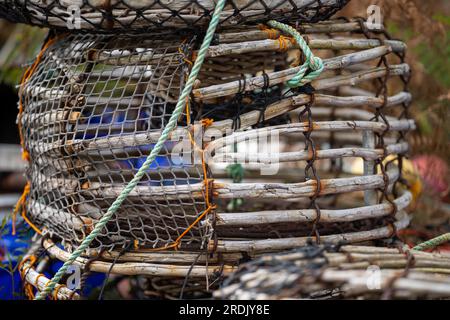 crayfish cray pots sul retro di un peschereccio in tasmania australia Foto Stock