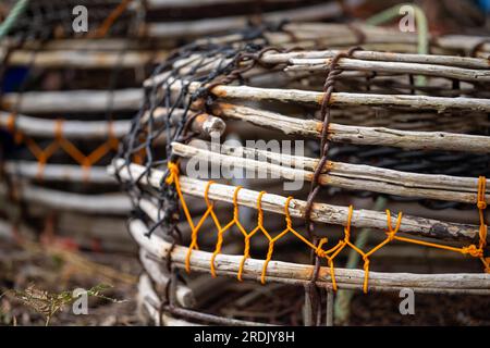 crayfish cray pots sul retro di un peschereccio in tasmania australia Foto Stock