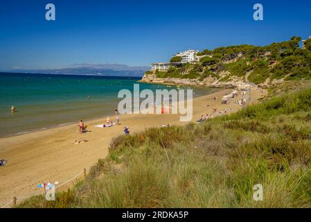 Platja Llarga (lunga spiaggia) a Salou, con le dune naturali della costa con vegetazione mediterranea, sulla costa della Costa Daurada Tarragona Spagna Foto Stock