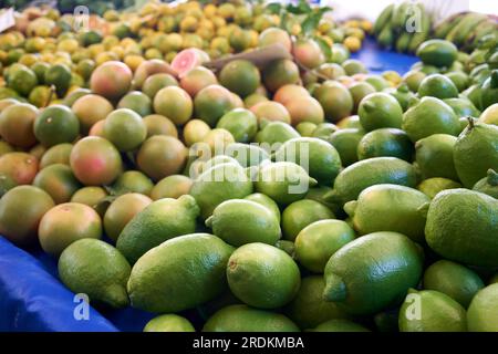 Lime e altri agrumi esposti al mercato agricolo Foto Stock