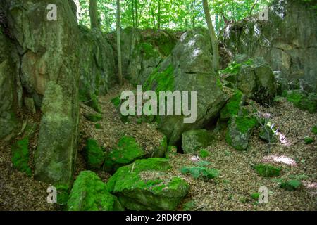 Felsenmeer a Hemer con enormi formazioni rocciose nella foresta Foto Stock
