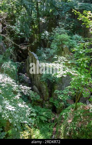 Felsenmeer a Hemer con enormi formazioni rocciose nella foresta Foto Stock