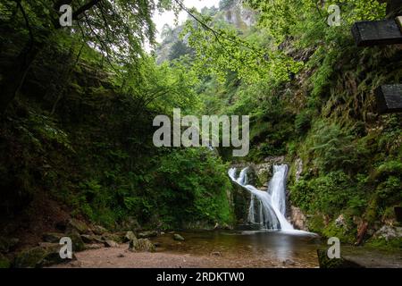 Cascata con ponte a cascata di Allerheiligen in un paesaggio girato nella natura, Foresta Nera, Germania Foto Stock