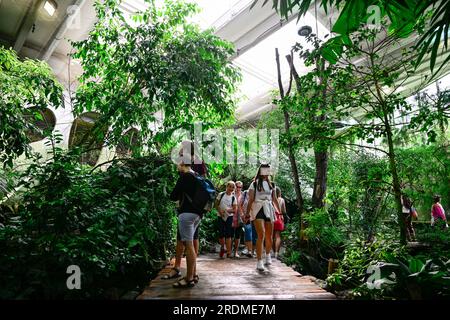 Praga, Repubblica Ceca. 22 luglio 2023. La cerimonia di apertura della voliera del Sichuan nello zoo di Praga, che permetterà ai rari uccelli delle colline pedemontane himalayane di abitare spazi all'aperto, Praga, Repubblica Ceca, 22 luglio 2023. Crediti: Roman Vondrous/CTK Photo/Alamy Live News Foto Stock