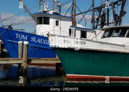 Grandi barche da pesca fiancheggiano i moli di Hyannis Harbor, Massachusetts. Alla fine andranno a Nantucket Sound per una grossa cattura. Foto Stock