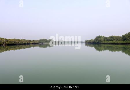 Sundarbans è un delta della foresta di paludi con una superficie di circa 10.200 kmq attraverso l'India e il Bangladesh. Questa foto è stata scattata dal Bangladesh. Foto Stock