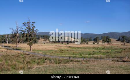 Campagna rurale Scottsdale Tasmania Australia Foto Stock