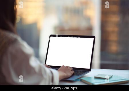 Donna d'affari che usa un computer portatile in ufficio. Vista a spalla Foto Stock