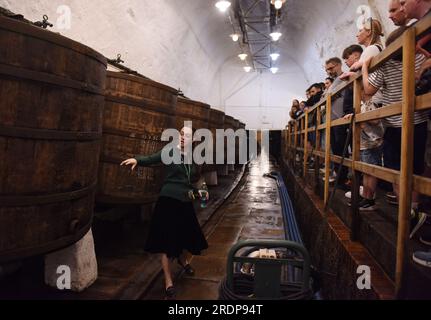 Pilsen, Repubblica Ceca. 22 luglio 2023. Una guida turistica (L) presenta la fabbrica di birra Pilsner Urquell ai visitatori di Pilsen, Repubblica Ceca, il 22 luglio 2023. Credito: He Canling/Xinhua/Alamy Live News Foto Stock