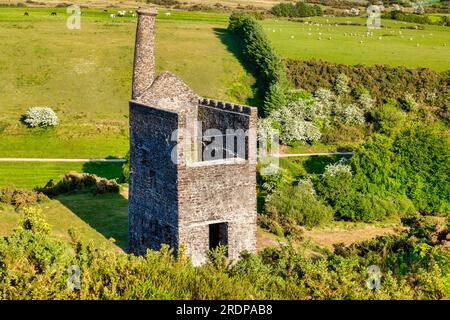 Resti di una vecchia casa macchine a Dartmoor, Wheal Betsy, vicino a Tavistock, Devon, Regno Unito. Foto Stock