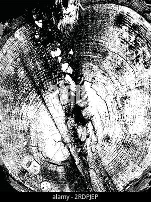 Grunge struttura a ceppo di alberi con anelli ondulati e incrinature sullo sfondo del legno. Illustrazione Vettoriale
