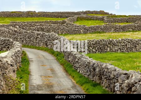 I muri a secco dominano il paesaggio di Inisheer, la più piccola e più orientale delle tre isole Aran, contea di Galway, Repubblica d'Irlanda. Foto Stock