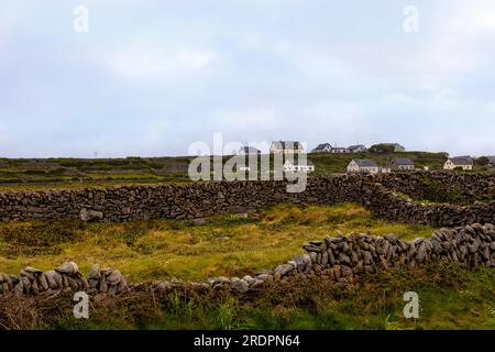 I muri a secco dominano il paesaggio di Inisheer, la più piccola e più orientale delle tre isole Aran, contea di Galway, Repubblica d'Irlanda. Foto Stock