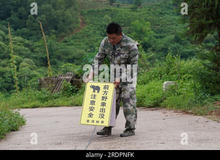 (230723) -- JIANGCHENG, 23 luglio 2023 (Xinhua) -- Un membro del personale pone un cartello di cordone su una strada dove si trovano elefanti asiatici selvatici nella contea di Jiangcheng, nella provincia dello Yunnan della Cina sud-occidentale, il 19 luglio 2023. Grazie agli sforzi senza compromessi per la protezione ambientale e della fauna selvatica, la popolazione di elefanti asiatici selvatici nello Yunnan è cresciuta negli ultimi anni. Sentendosi molto più al sicuro di prima, alcuni di questi elefanti sono diventati sempre più "dilaganti" e un audace "tour di gruppo" di una famiglia di elefanti della provincia ha persino fatto una grande scena nel cyberspazio globale nel 2021.Jiangcheng County, Foto Stock