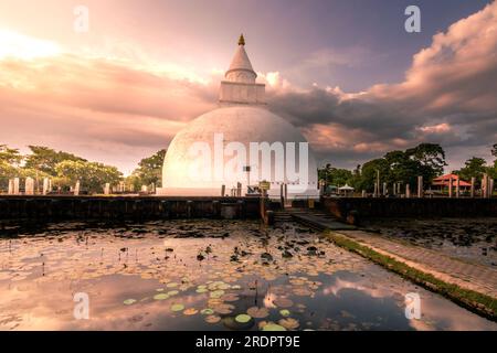 Giro in treno per Sri Lanka Kandy. Questo percorso sulle montagne dello Sri Lanka da ella a Kandy. Piantagioni di tè, cascate e splendidi paesaggi Foto Stock