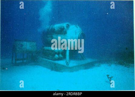 "The Ecology of Coral Reefs : Results of a Workshop on Coral Reef Ecology held by the American Society of zoologists, Philadelphia, Pennsylvania, December 1983" (1985) Foto Stock